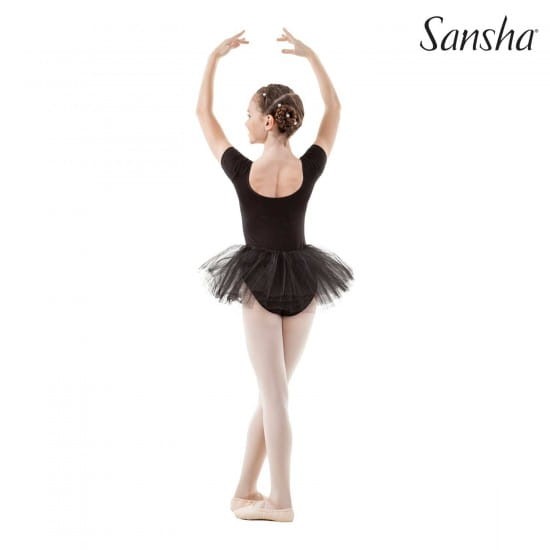 Sansha Michelle 2.jpg